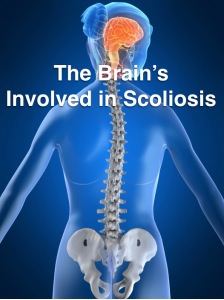 Brain Involved In Scoliosis