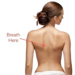 Mindful of Scoliosis Movements 2